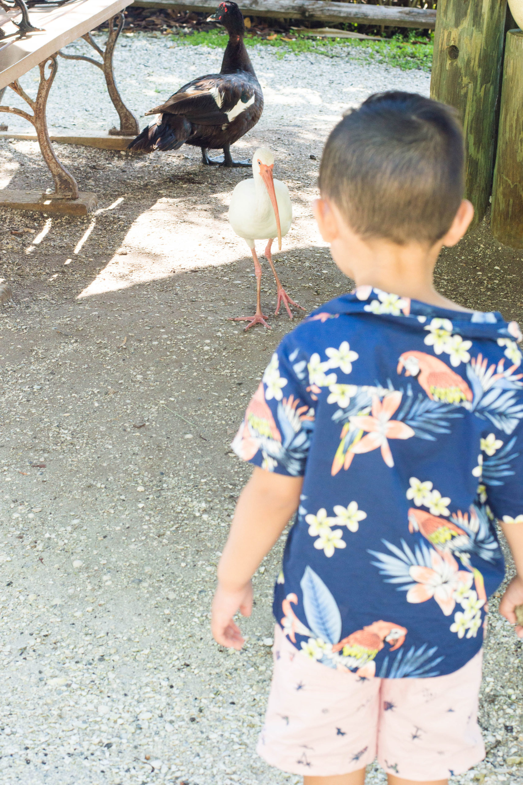 Here we are, at one of Florida's very popular zoos: Naples Zoo. Check out why it's the ultimate destination for you and your fam! #naplesflorida