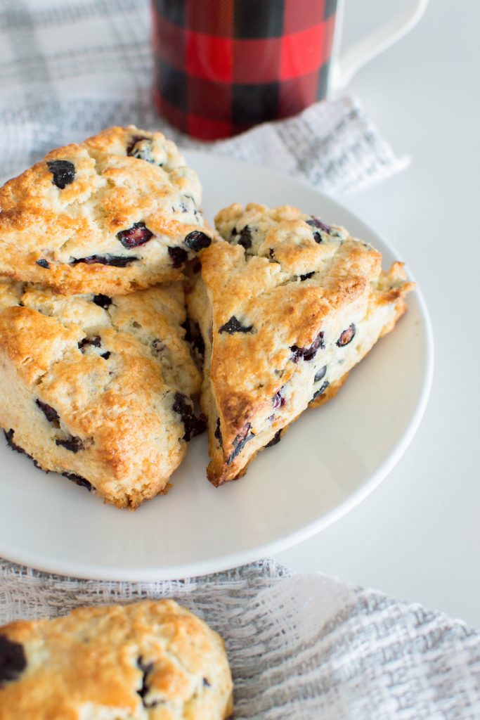 Are you a first-timer when it comes to baking scones? Don’t worry! My Beginner Blueberry Scones are SO easy to make but the results are fabulous! Impress your family for your next breakfast and whip-up these blueberry delights!